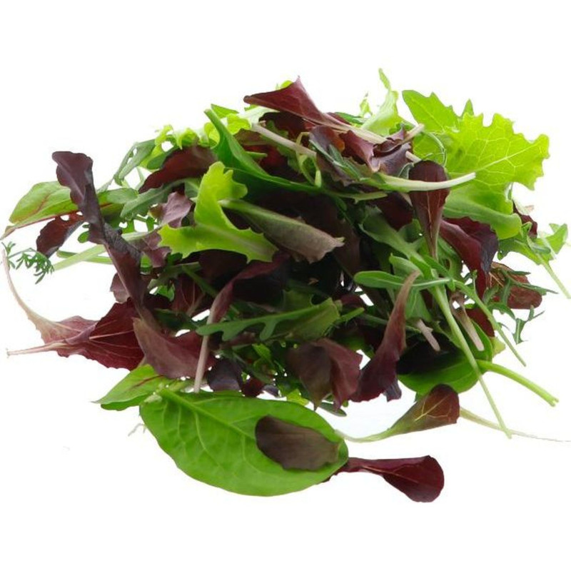 MESCLUN POLYSTYRENE 1KG
